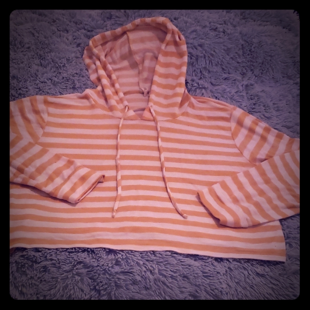 Sky and sparrow crop hooded long sleeve t